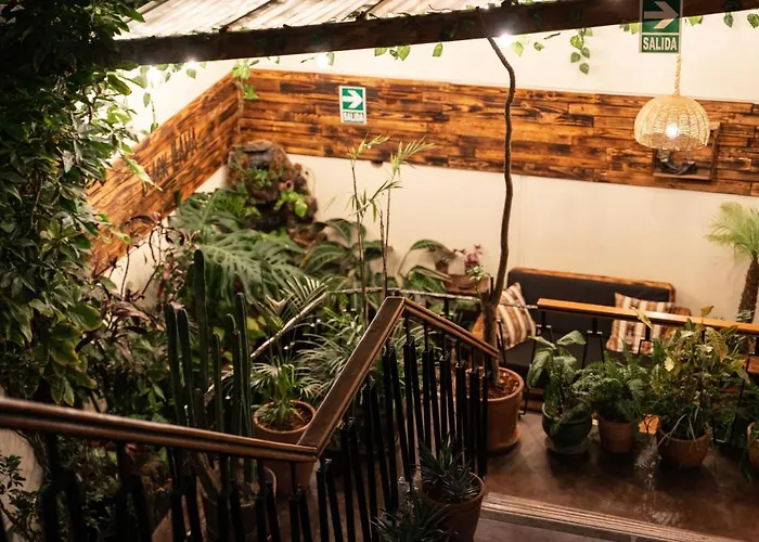 Black Llama Hostel Miraflores