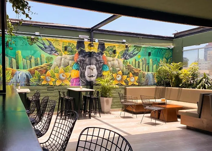 Black Llama Hostel Miraflores